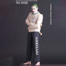 Joker Prison Suit : Suicide Squad Figure