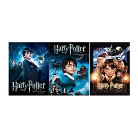 Harry Potter 3D Posters