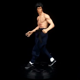 Bruce Lee Dragon and Tiger Fight Figure